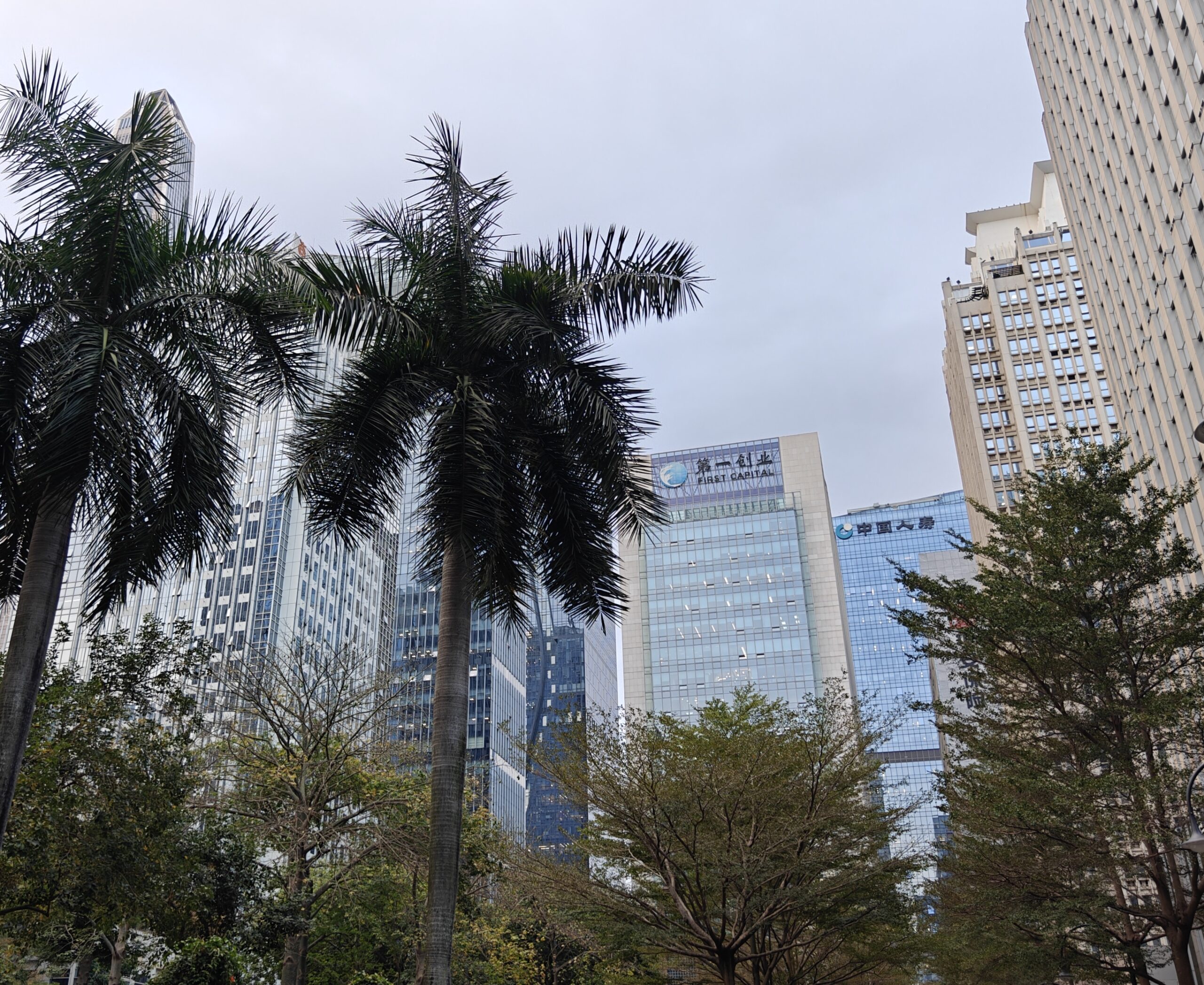 Shenzhen holds the lead in IPO applications